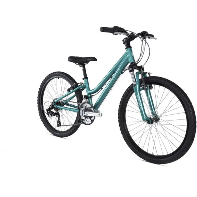 Ridgeback Destiny 24 Kids Bike in Blue-1